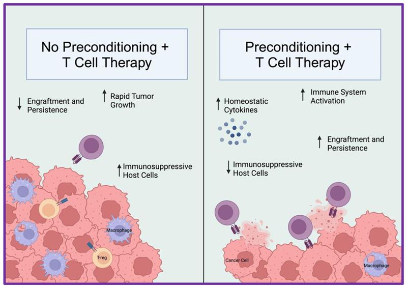 📈Check out the #review "Strategies for Improving CAR T Cell Persistence in Solid Tumors" 
✍by <a href="/megen_wittling/">Megen Wittling</a> <a href="/Chrystal_Paulos/">Chrystal Paulos</a> et al. <a href="/PaulosLab/">Paulos Lab</a> <a href="/EmoryMedicine/">Emory School of Medicine</a>
Find out more here👉mdpi.com/2072-6694/16/1…