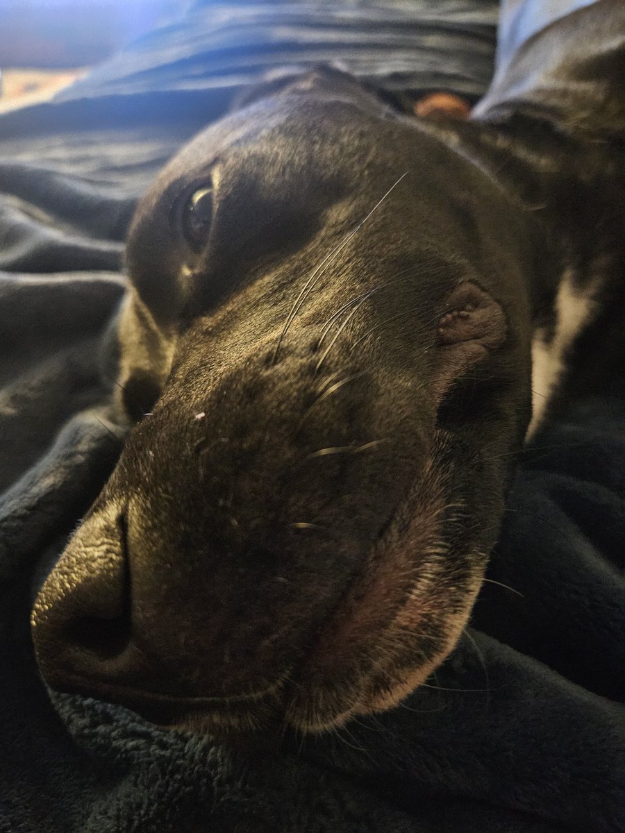 DickyGilmore's tweet photo. @OnlyInBOS https://t.co/jpvkMN0PaW