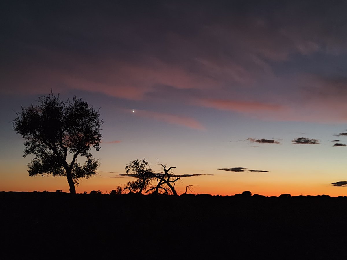 👩‍🏫It's been a privilege to attend the Principles of #Evolution course at the #Doñana Biological Reserve! 10 days immersed in evolutionary science with top national researchers, leaving me inspired for future projects and collaborations. Huge thanks to everyone involved!
#phdlife