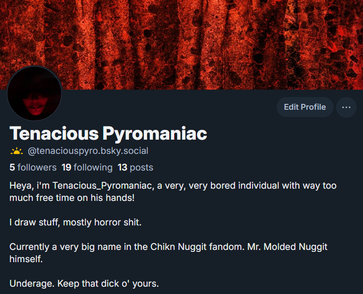 Tenacious_Pyromaniac tweet media
