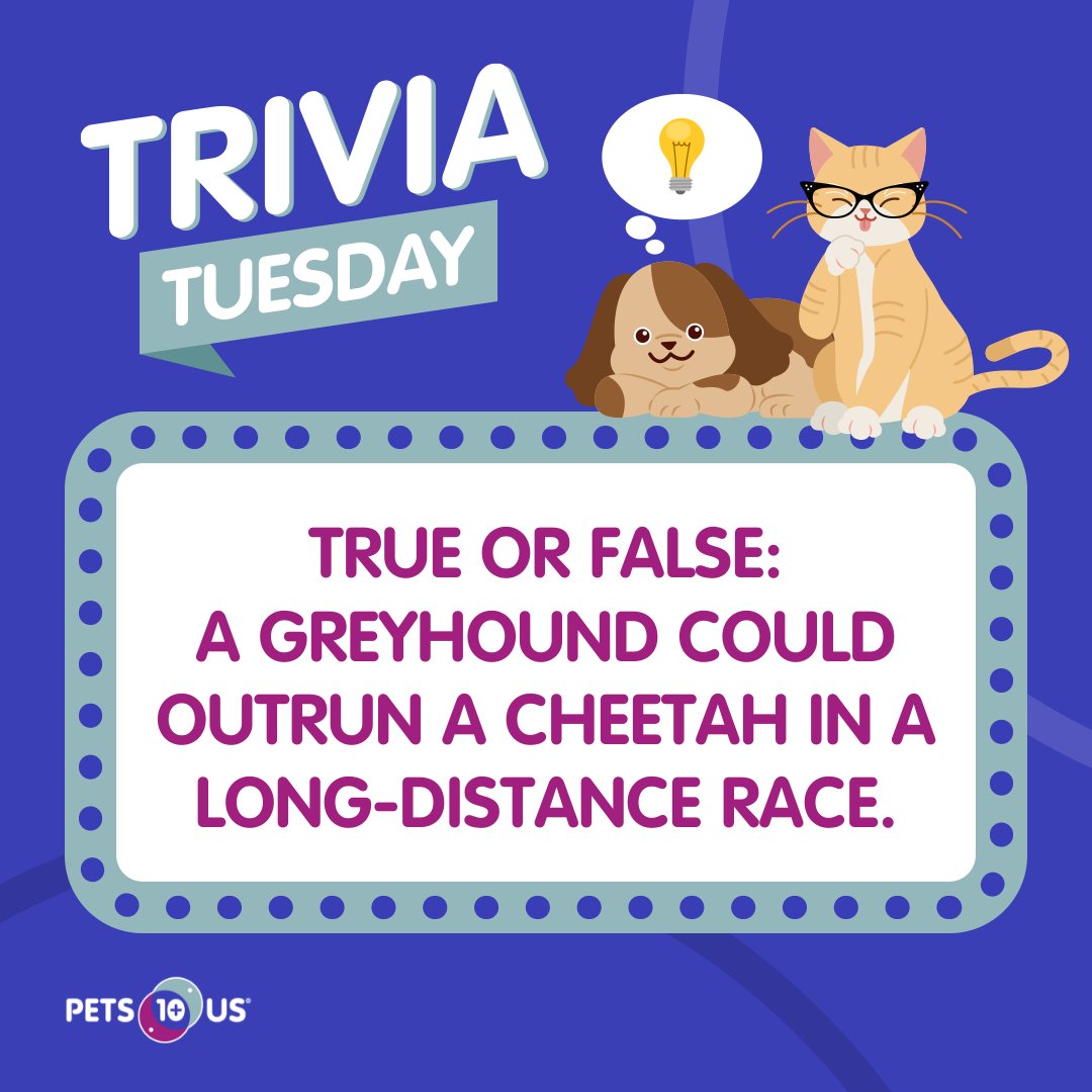 Pets Plus Us (@petsplususins) on Twitter photo #Win a $25 PetSmart gift card! To enter, answer the question, retweet this post and follow <a href="/PetsPlusUsIns/">Pets Plus Us</a> by 11:59PM EST. Open to Canadian & US residents (excluding QC). Ways to enter: bit.ly/3wBFKxO #Win a $25 PetSmart gift card! To enter, answer the question, retweet this post and follow <a href="/PetsPlusUsIns/">Pets Plus Us</a> by 11:59PM EST. Open to Canadian & US residents (excluding QC). Ways to enter: bit.ly/3wBFKxO