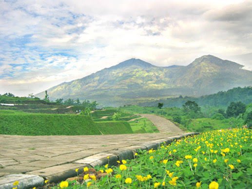 Given Hor tweet media