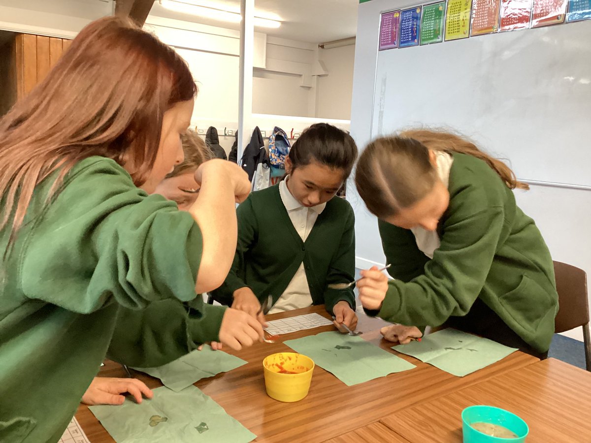 allsaintsfed's tweet photo. 5J (Team USA 🇺🇸) had a fab morning completing some research about different soups currently available on the market! 🥣 They even got to try some different soups themselves! 😋 #ASFDT https://t.co/dTLvURkll5