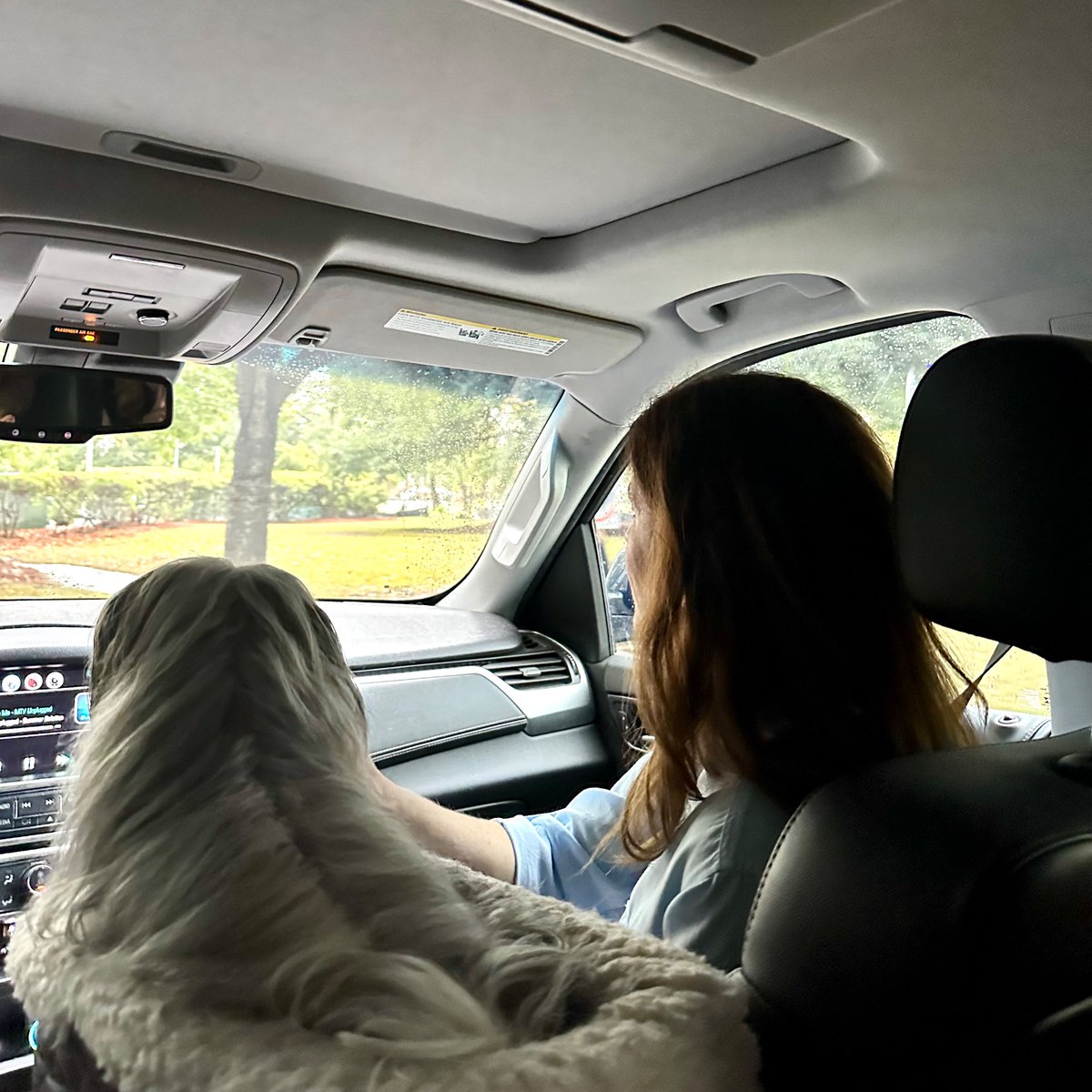 NancyMace's tweet image. Just a girl and her dog going poll to poll.
#LowcountryFirst