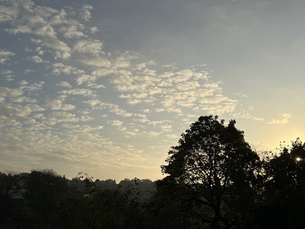 eksheltone's tweet photo. Election morning. Foggy/cloudy over downtown Brooklyn and Manhattan. Geese flying overhead from the greenway at Green-Wood Cemetery, some northerly, some westerly. Deep breath, everybody! https://t.co/h2ExSa4LaO