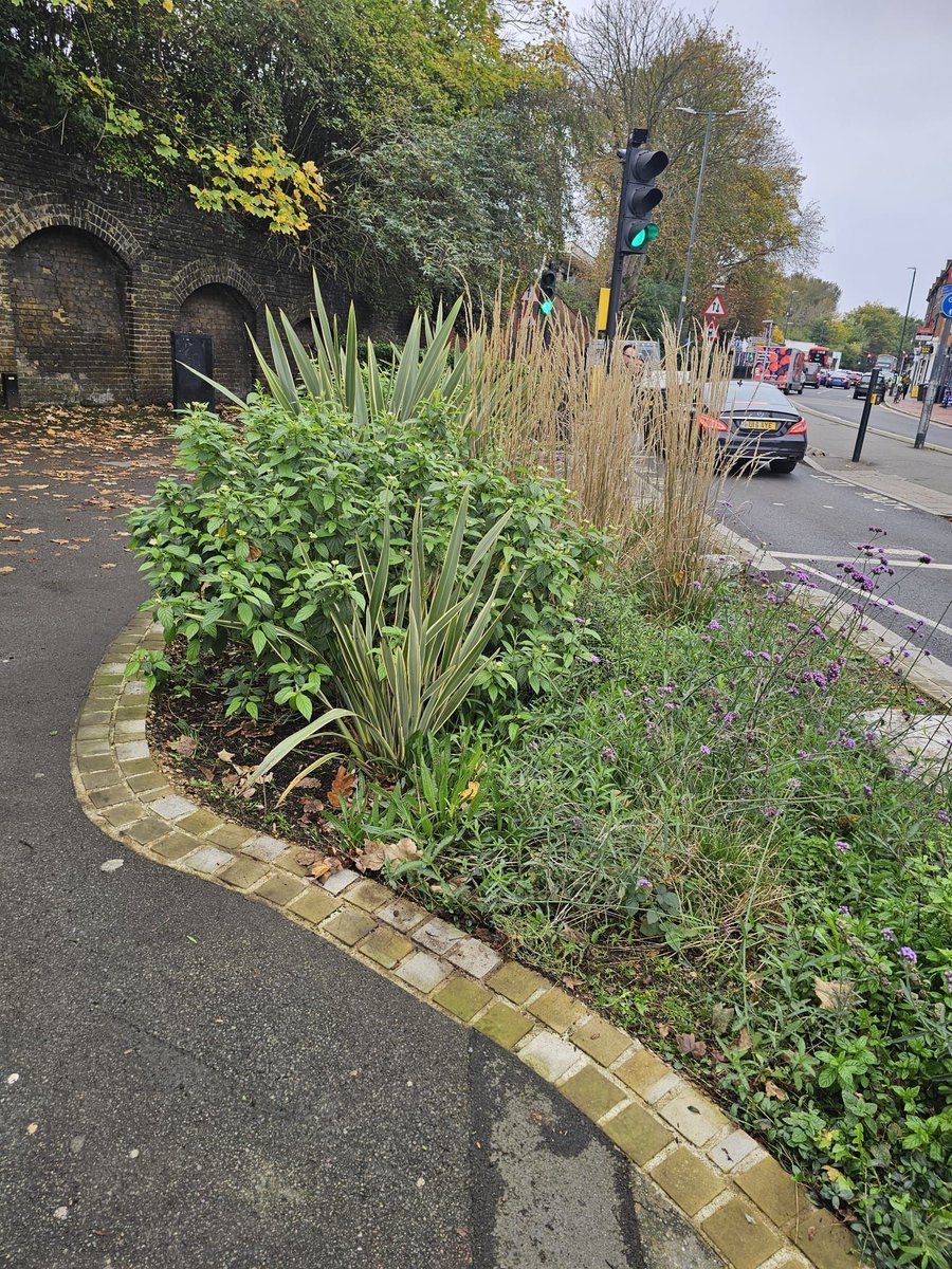 Meristem Design tweet media