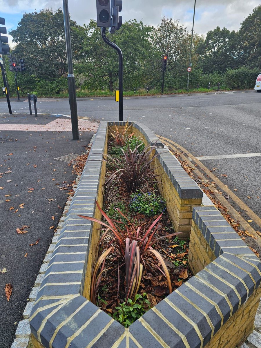 Meristem Design tweet media