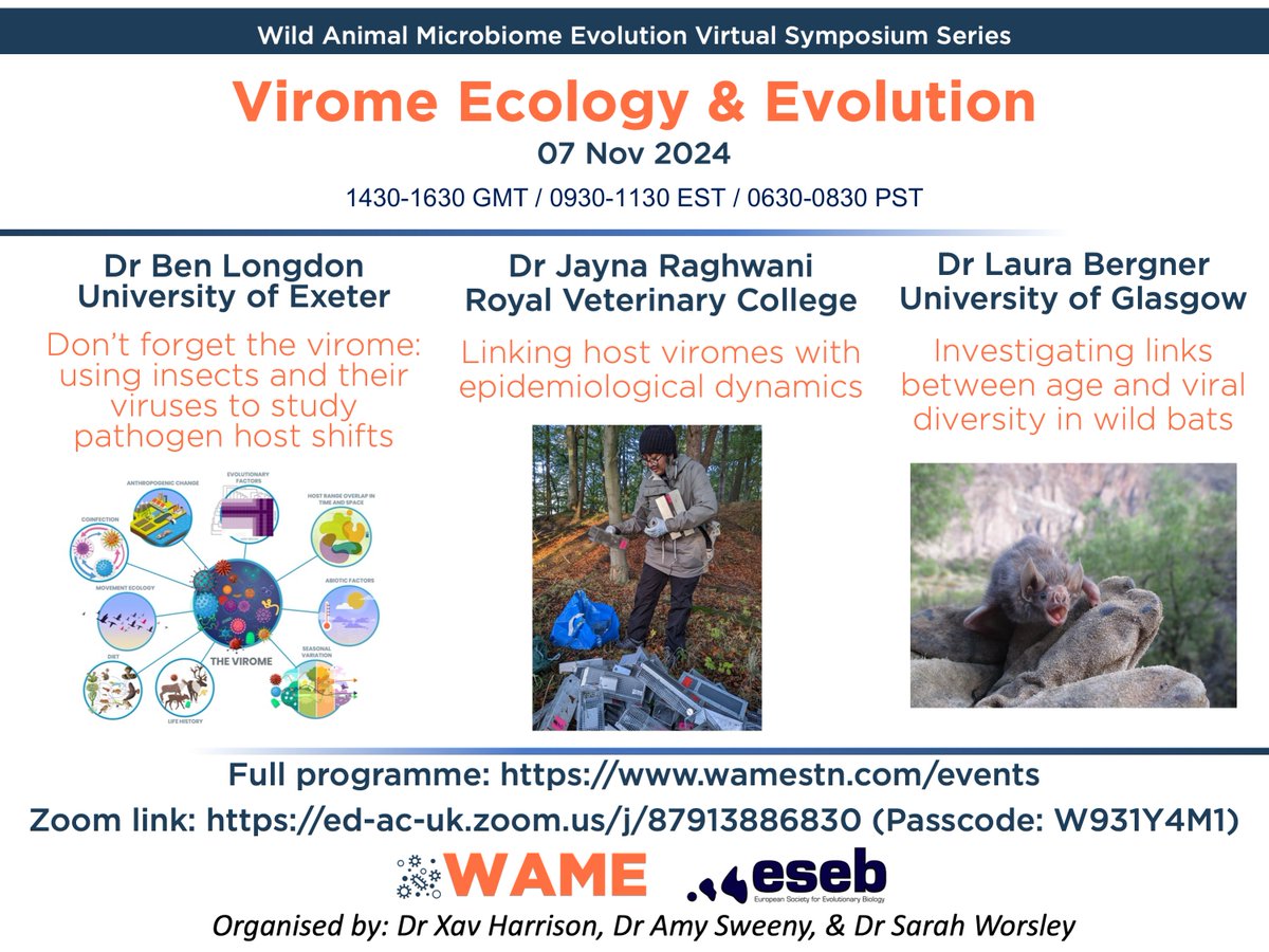 A reminder that the next set of talks in the <a href="/stn_wame/">WAME STN</a> <a href="/eseb_org/">ESEB</a> virtual seminar series is happening this Thursday!

We’ll be hearing about all things virome! 

7th Nov 2024, 14.30-16.30 GMT / 09.30-11.30 EST / 06.30-08.30 PST