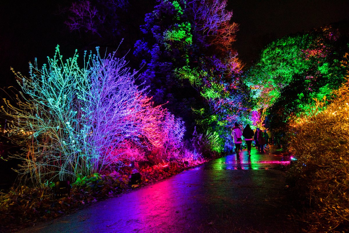 Light up the winter nights with a visit to a stunning light trail or illumination event in Hampshire.

From twinkling trains to glowing gardens, find out where to see winter illuminations in Hampshire: visit-hampshire.co.uk/ideas-and-insp…

📷Light Up, Hilliers by Rob Luckins