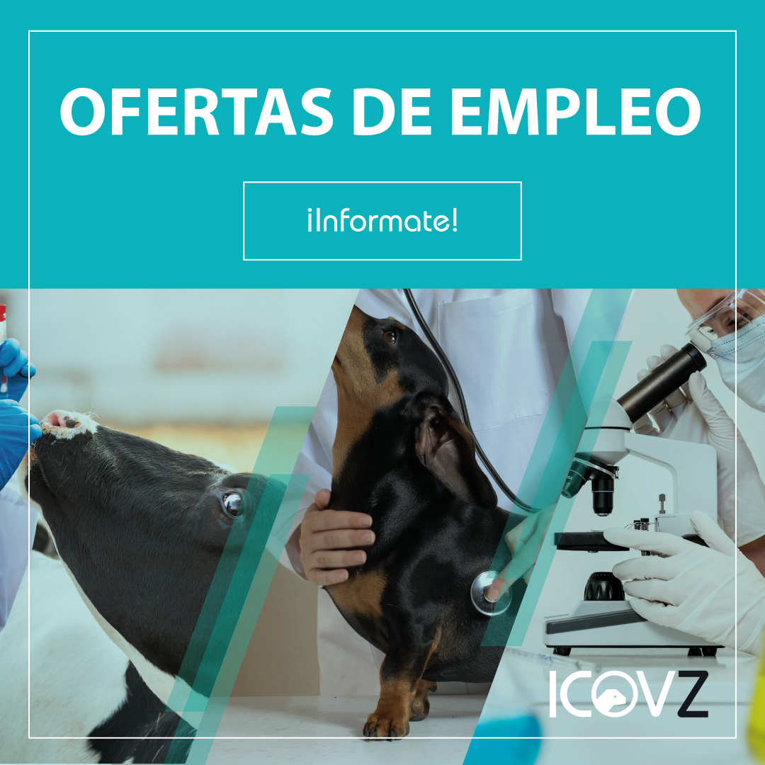👀👨⚕️ 🐖🐈 Consulta aquí las ofertas de empleo que hemos recopilado a lo largo de esta semana: cutt.ly/y1Ve2M4

#OneHealth #Unasalud #OneWelfare
#Ponunveterinarioentuvida #Ponunveterinarioentumesa
#Veterinario #VeterinariosZgz