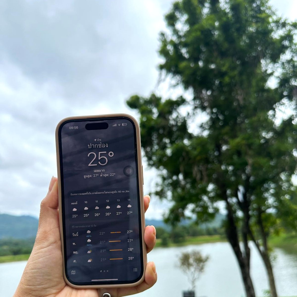 HGaksch's tweet photo. This morning in Khao Yai. The weather is incredibly good. 25° 📷📷
#PiromCafeKhaoYai ♥
🌲 Open daily from 8:30 am to 5:00 pm
 📞098 886 1181 (Line: @Piromcafe, with @)
 #PiromCafe #CafeByTheLake #cafekhaoyai #ReviewCafe #petfriendly #KhaoYaiCafe #KhaoYaiCoffeeShop #Thailand2024 https://t.co/3n2mFzoUlF