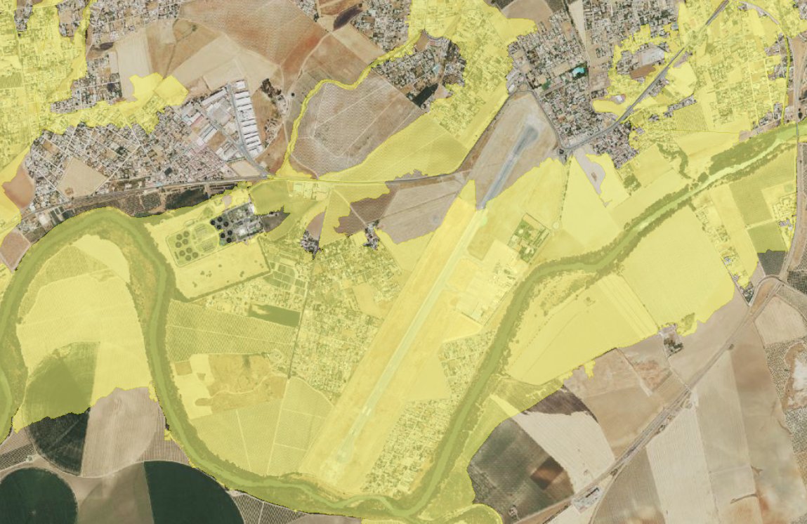 Miguel Antúnez 🐌 tweet media