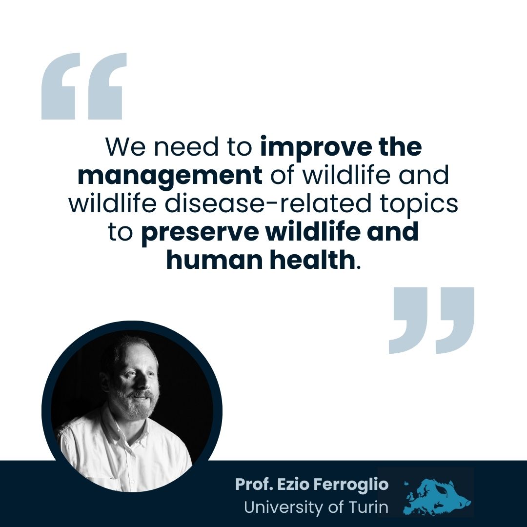 ENETWILD project (@enetwild) on Twitter photo Prof. Ferroglio from <a href="/DSVunito/">Department of Veterinary Sciences DSV - UNITO</a>, ENETWILD coordinator, expects the project results to inform institutions, so #wildlife management improves. Prof. Ferroglio from <a href="/DSVunito/">Department of Veterinary Sciences DSV - UNITO</a>, ENETWILD coordinator, expects the project results to inform institutions, so #wildlife management improves.