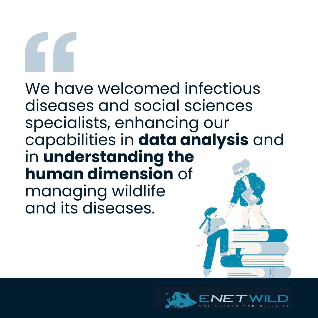 ENETWILD project (@enetwild) on Twitter photo <a href="/DSVunito/">Department of Veterinary Sciences DSV - UNITO</a> ENETWILD's focus is on wildlife disease risks and management which depends on a broad expertise within the project's network. <a href="/DSVunito/">Department of Veterinary Sciences DSV - UNITO</a> ENETWILD's focus is on wildlife disease risks and management which depends on a broad expertise within the project's network.