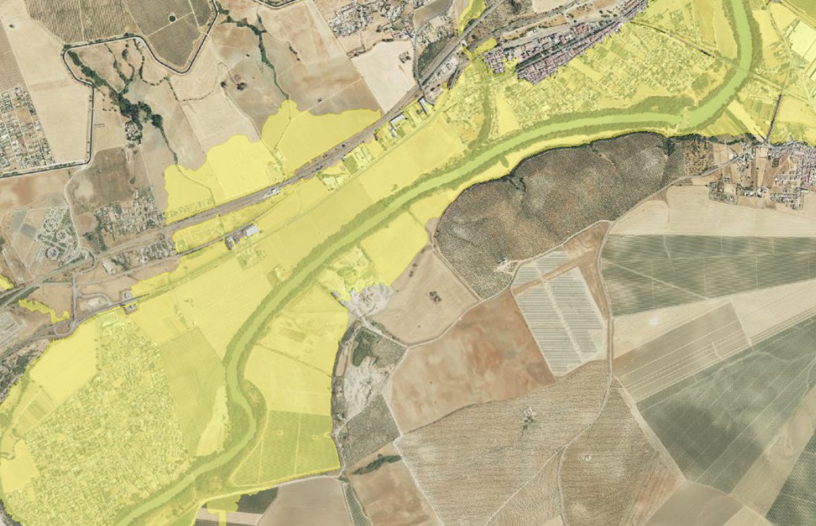 Miguel Antúnez 🐌 tweet media