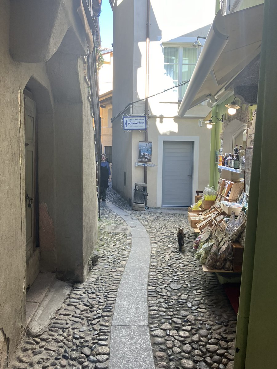 Celebrated our 15th wedding anniversary over the weekend at beautiful Lago Maggiore