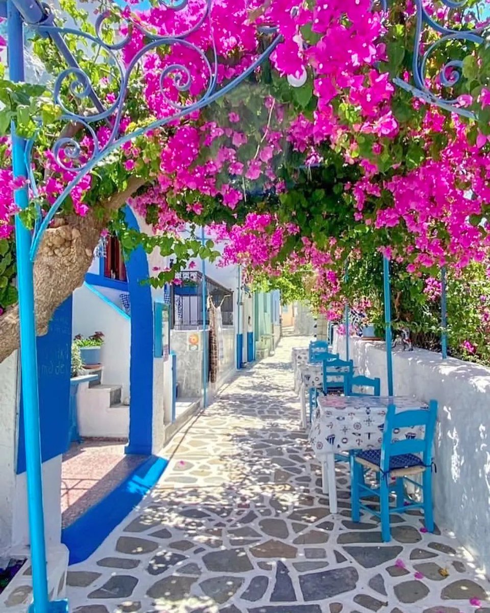 #Telendos is one of the friendliest islands in the Aegean. No roads, no cars, just smiling faces and lots of genuine Greek hospitality. 🇬🇷
📷 alessvolp