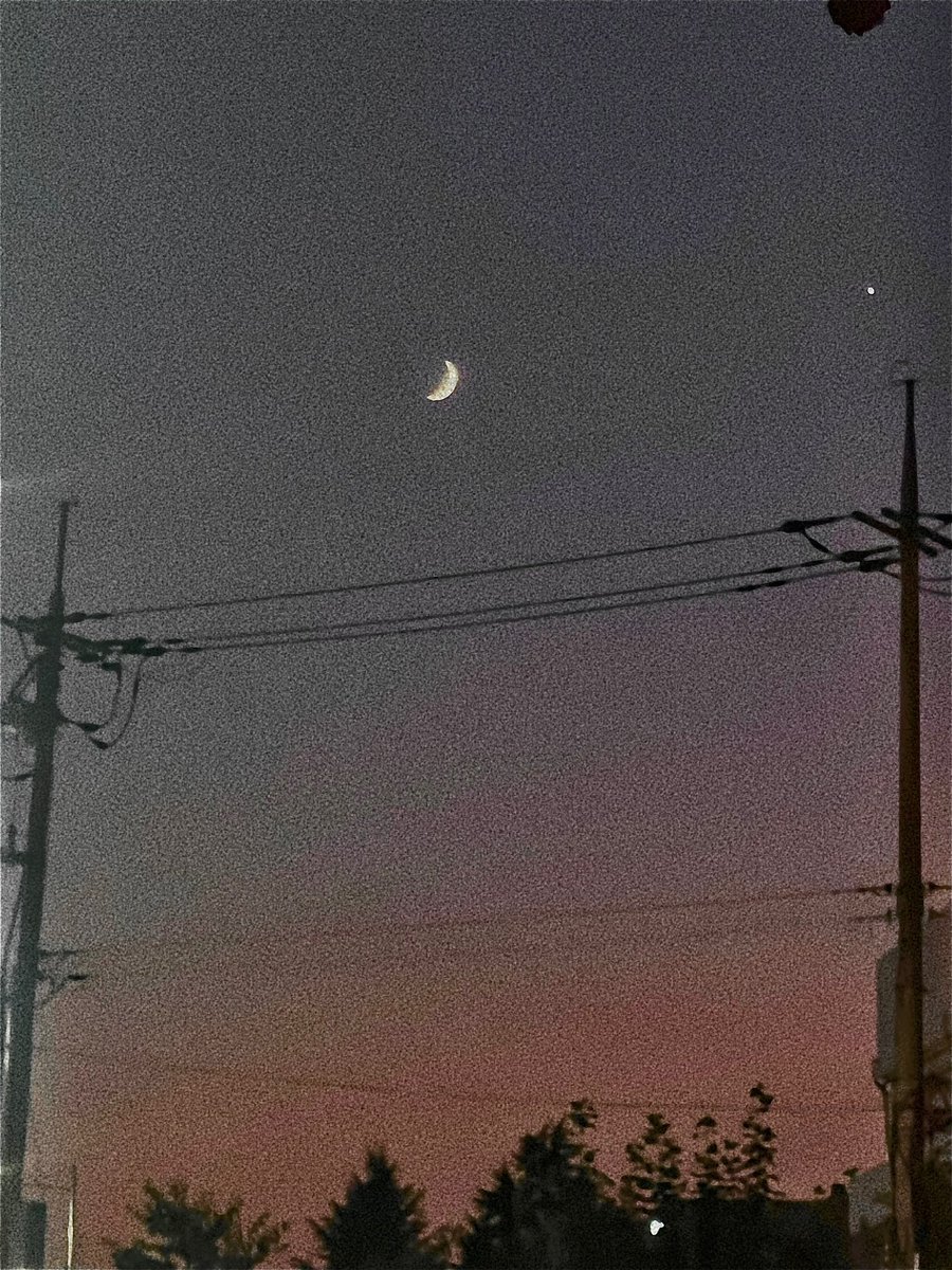 알바 가는길에 예뻐서 찍었어