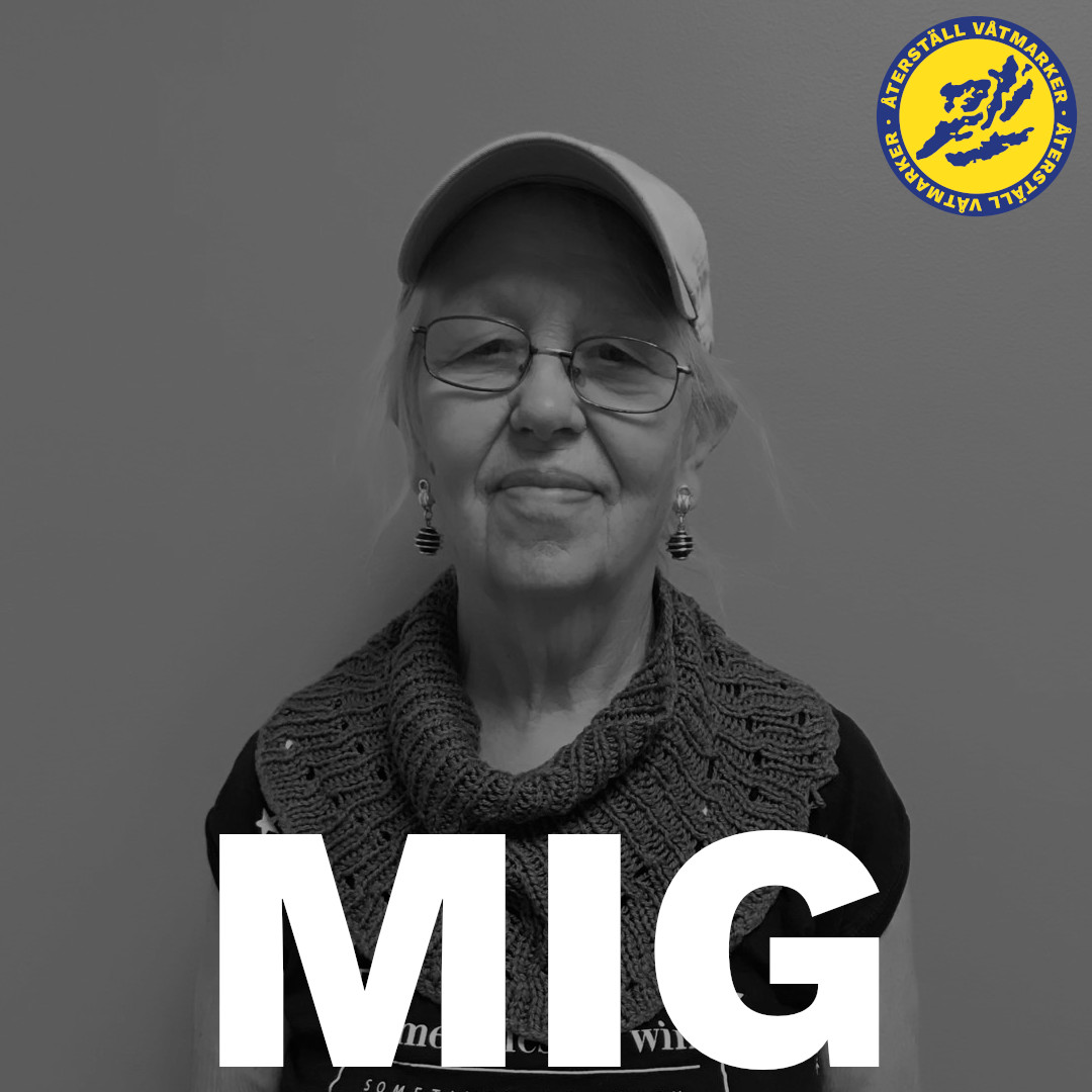 VI SLÄPPER PLANERNA

Vi har bestämt oss. Larmet måste ringa högre än någonsin. Klimatet är i fritt fall.

VI KOMMER GÖRA DET STÖRSTA VI NÅGONSIN GJORT

Kom på Stormöte online 26 nov 19-20:30 för att höra om hur du kan vara med: tinyurl.com/357m79ba

 #återställvåtmarker