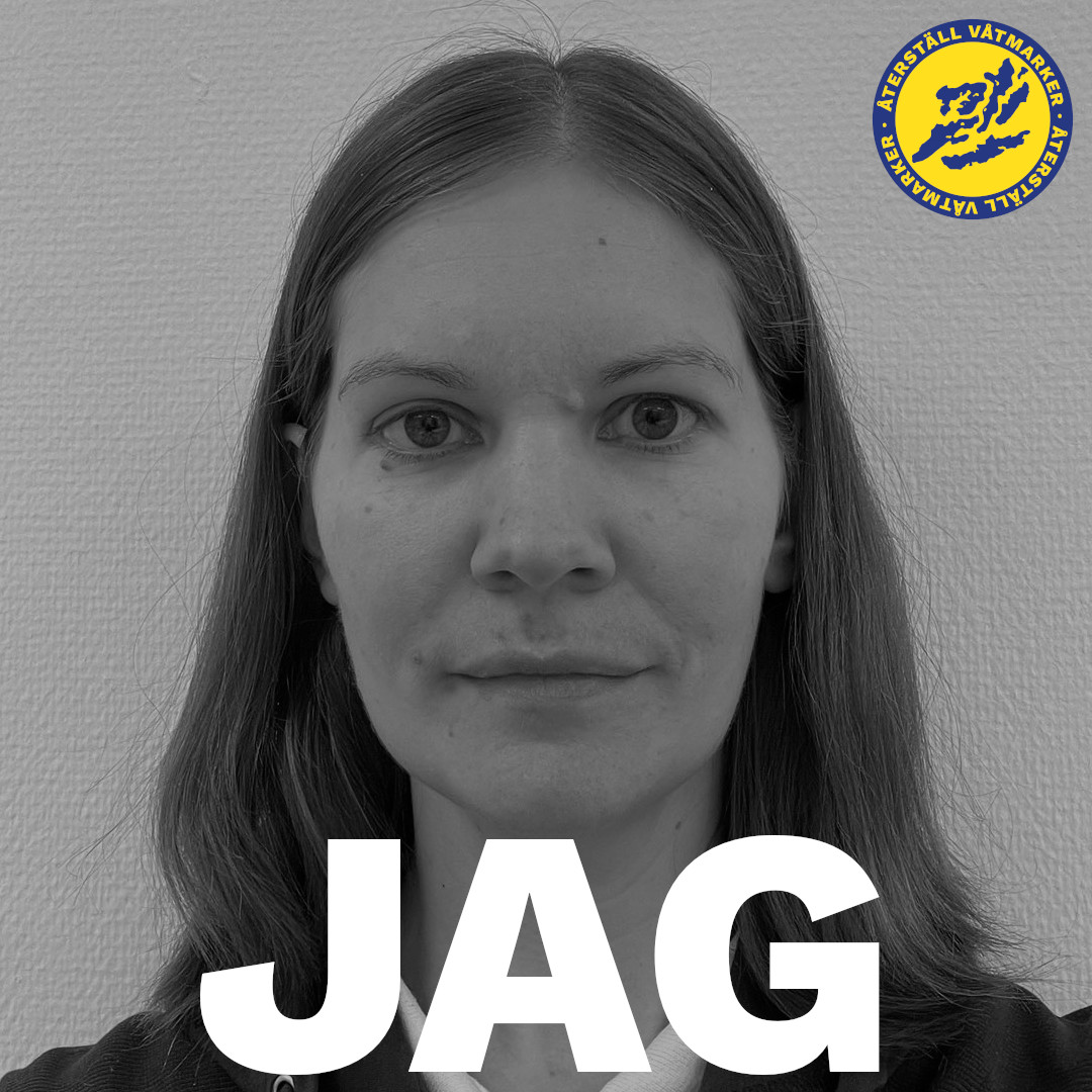 Återställ Våtmarker tweet media