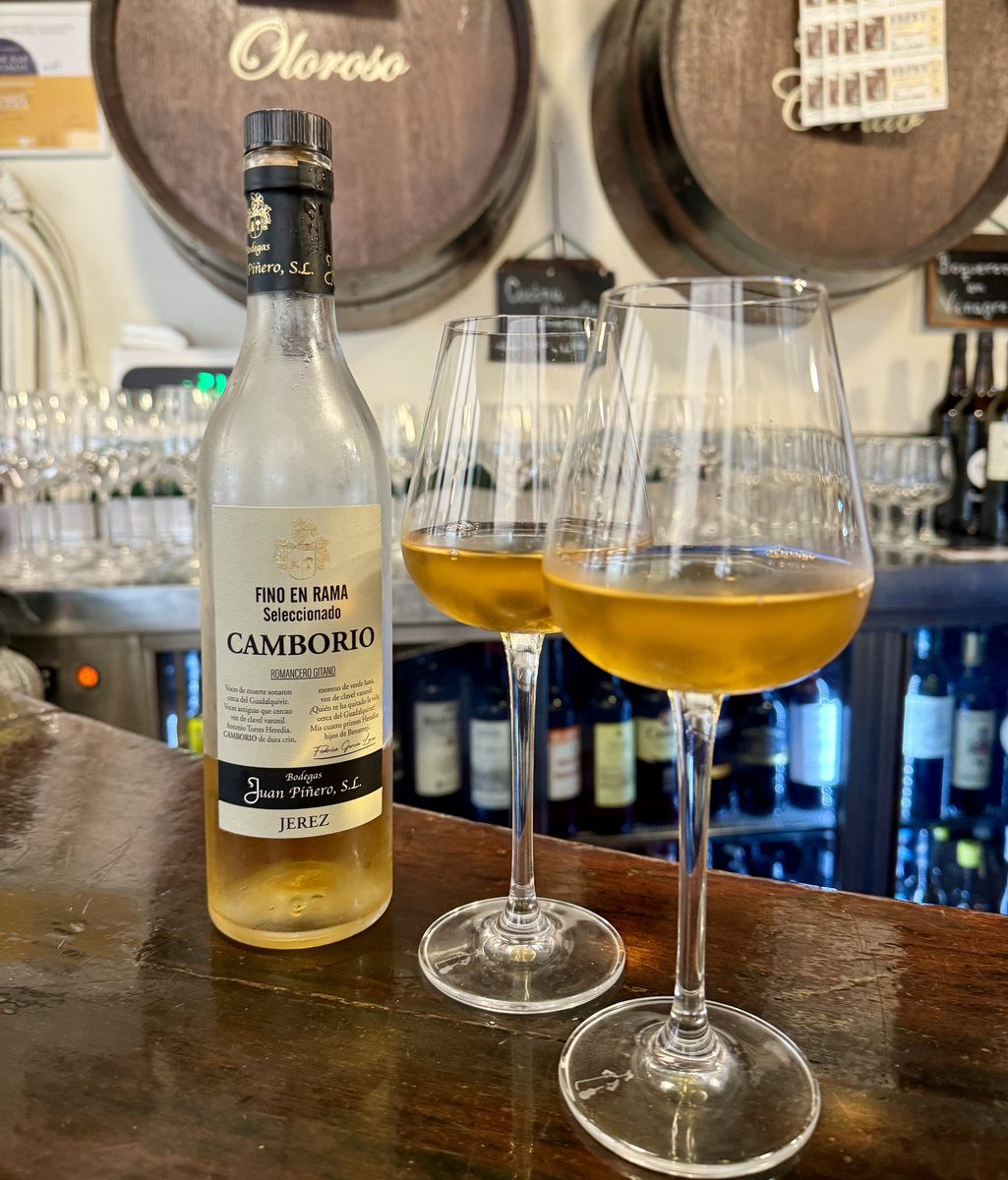 Shawn Hennessey ☀️🍷 (@sevillatapas) on Twitter photo It’s Day 2 of Sherry Week 2024 and today we are enjoying Camborio Fino en Rama by <a href="/BJuanPinero/">Bodegas Juan Piñero</a> at <a href="/manolocateca/">Taberna Manolo Cateca</a> #sevilla #spain🥂
#sherryweek #sherry #sherrylovers It’s Day 2 of Sherry Week 2024 and today we are enjoying Camborio Fino en Rama by <a href="/BJuanPinero/">Bodegas Juan Piñero</a> at <a href="/manolocateca/">Taberna Manolo Cateca</a> #sevilla #spain🥂
#sherryweek #sherry #sherrylovers