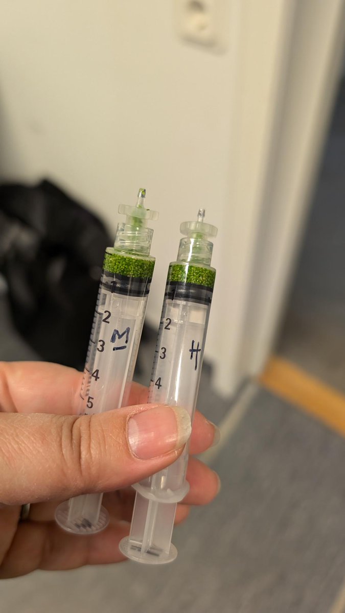 Jenny_Mortimer1's tweet photo. The first photo gives away the fact I'm not in Australia... I'm in North Sweden, where our Wolffia is going up on a sounding rocket as part of the DLR #MAPHEUS15 campaign in our experiment MiniWeed with Jens Hauslage and team as part of @plants4space. Today: test countdown! https://t.co/3kc7Gm6nUU