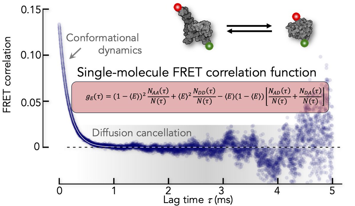 FRET correlation functions, a new model-free analysis tool. For dynamics from nano to milliseconds in diffusion-based smFRET experiments. Clean correlation functions, no diffusion component left.  Perfect to verify HMM fits. biorxiv.org/cgi/content/sh…