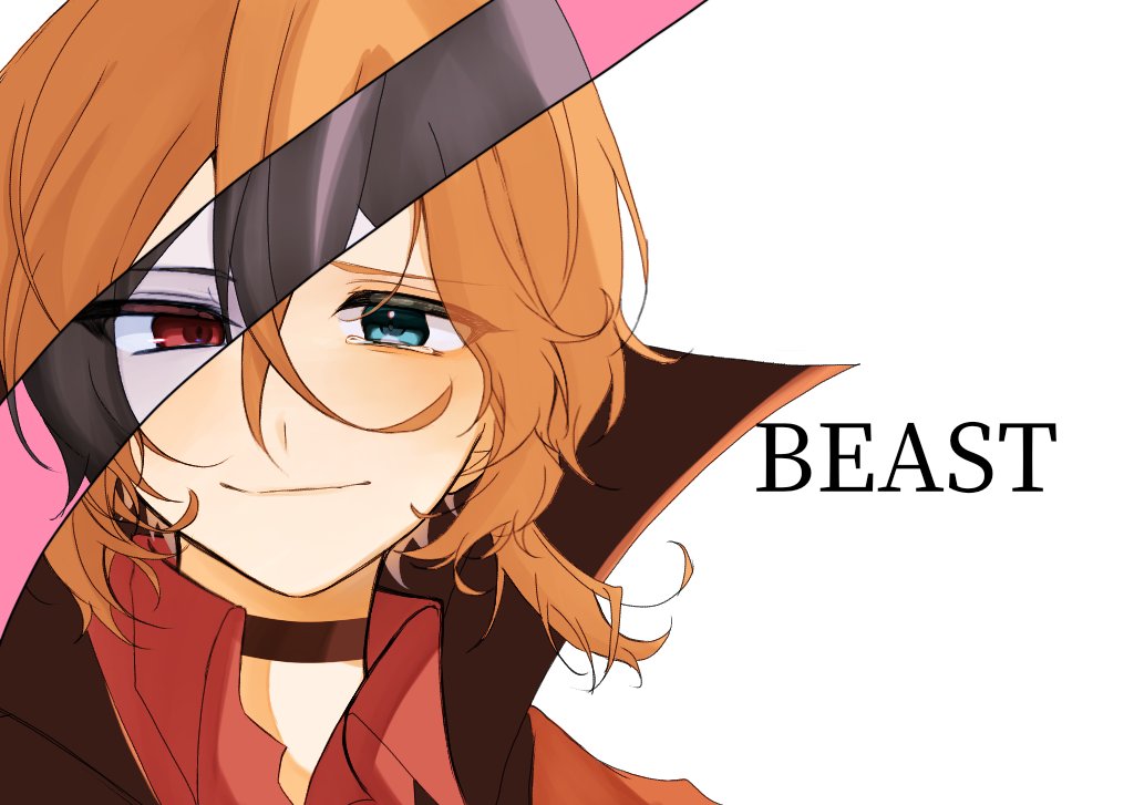 ─────    BEAST   ─────
 #BSD