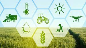 JournalBotany's tweet photo. Agriculture is the foundation of our food security, providing nourishment&amp; economic stability, By supporting farmers, promoting sustainable practices&amp; valuing their hard work, we can ensure a healthier planet&amp; future. #SupportFarmers #SustainableAgriculture #FoodSecurity https://t.co/5IjacDEJv2