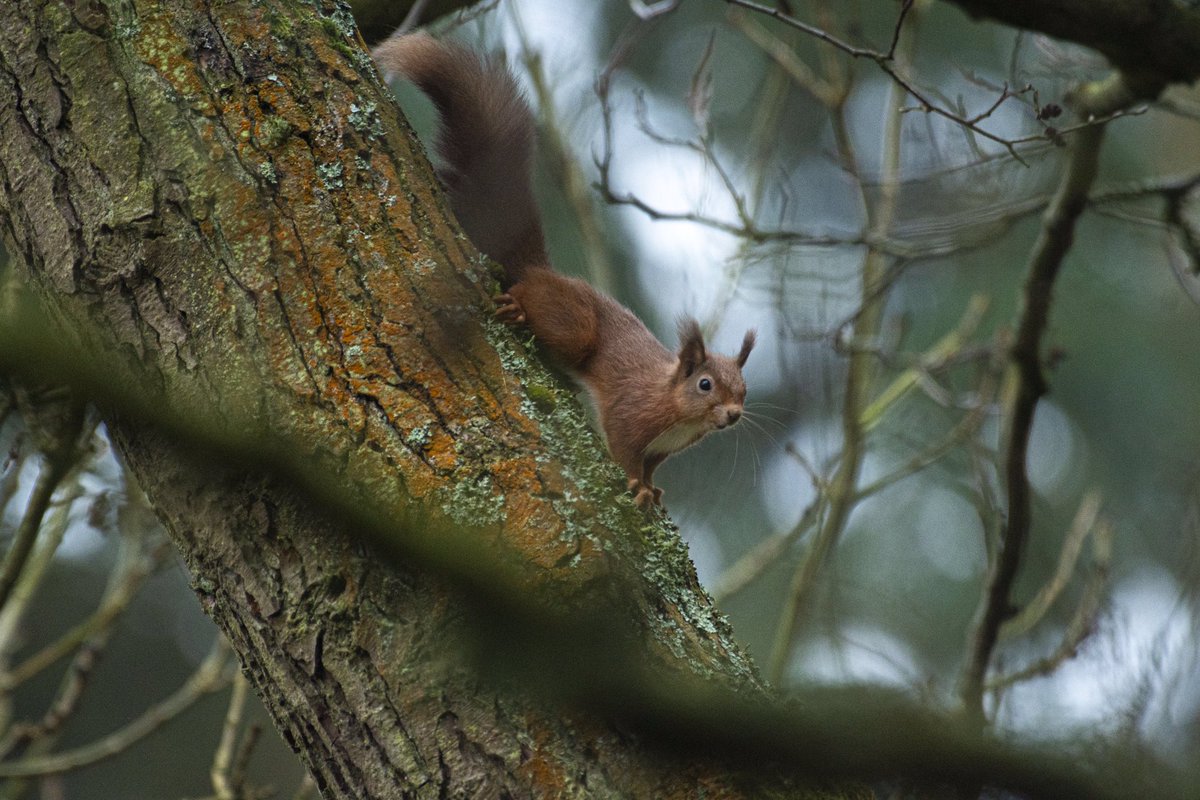Anthony Robson (no longer in Edinburgh!) tweet media