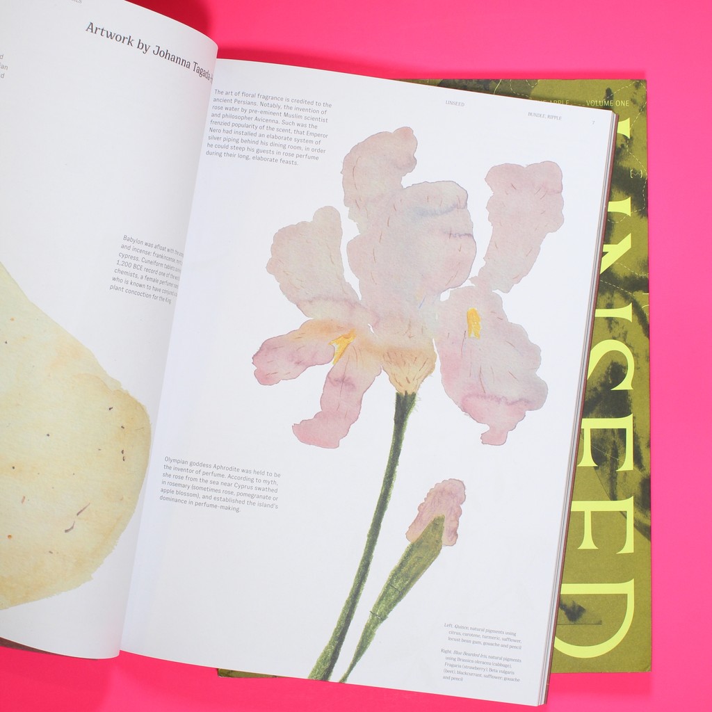 Linseed Journal Volumes 1 &amp; 2 are available at Art Metropole⁠
⁠
Printed sustainably using vegetable-based inks.⁠
⁠
#LinseedJournal #TheApple #TheOlive #CulturalIdentity #EnvironmentalArt  #SustainablePublishing⁠