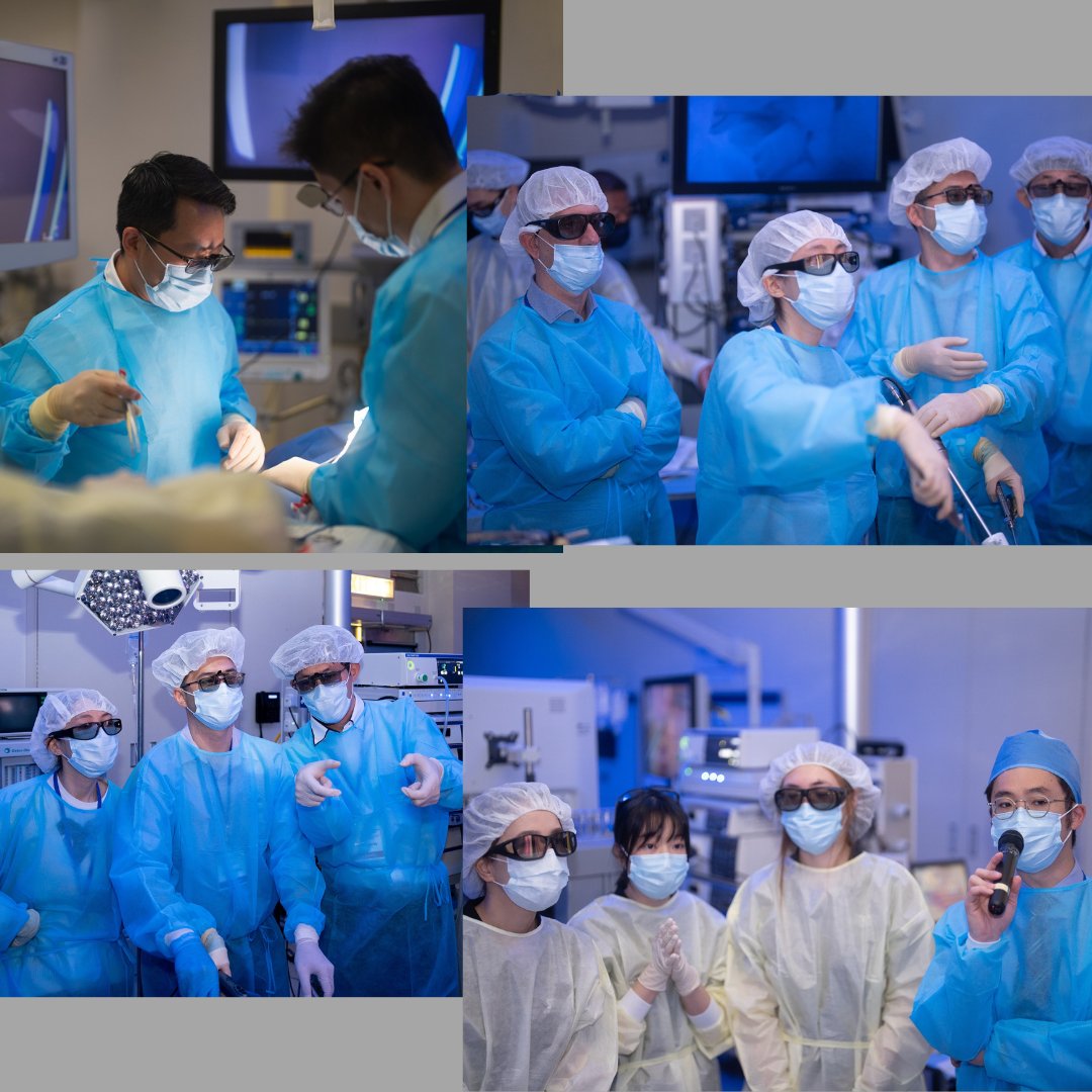 The 10th Masterclass in Urological 3D Laparoscopic Surgery &amp; Dissection Workshop concluded successfully on 1 November, 2024.
We were honored to have Professor Theodoros Tokas from the University General Hospital of Heraklion, University of Crete, and Dr. Terence Lai from our
