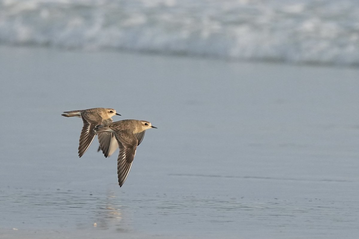 Garry Taylor 🇪🇺 tweet media