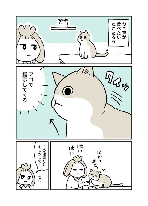 アッチとかコッチとか指示するねこ
(1/2) 