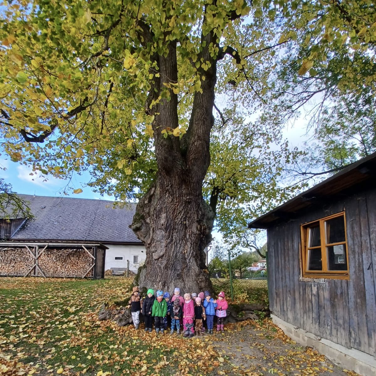 skolamachov's tweet image. ŽABIČKY 👩🏼‍🍳🧑🏻‍🍳🌳
Pečení, tvoření a procházka k lípě ve třídě žabiček.
#skolka #deti #peceni #tvoreni #lipa #kindergarten #kids #children #baking #creating #linden