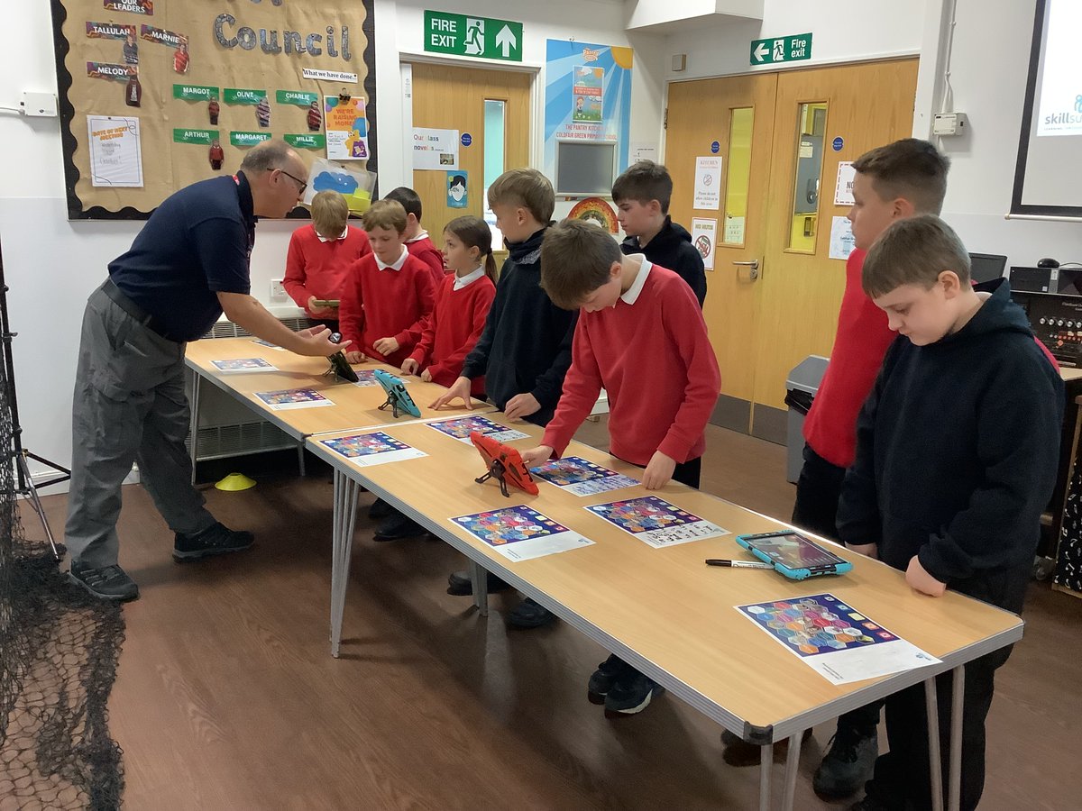 Coldfair Green Primary School tweet media