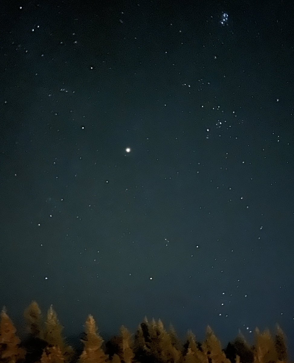 Clear night in Labrador! #stars