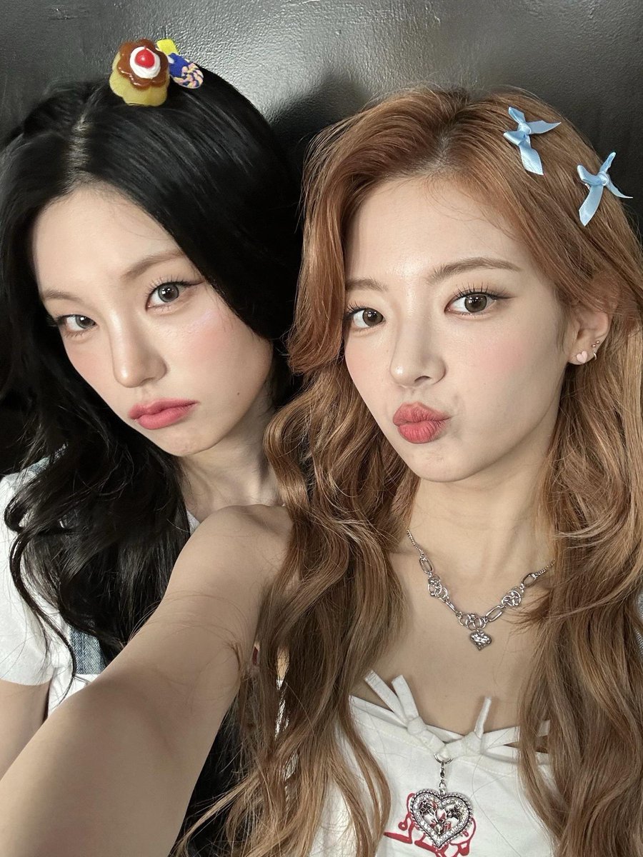 갈색 푸들 그리고 검은 고양이의 사진은 언제나 좋은 느낌을 주는듯…