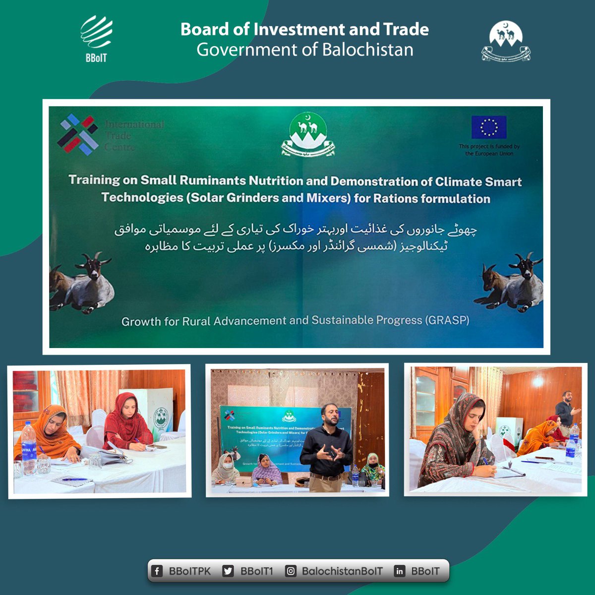 BBoIT1's tweet photo. #BBoIT participated in a Training on Small Ruminants Nutrition &amp; Climate-Smart Innovations organized by @ITCnews gaining valuable skills to effectively promote sustainable livestock practices. 

 @EUPakistan https://t.co/SzDz8W3uEd