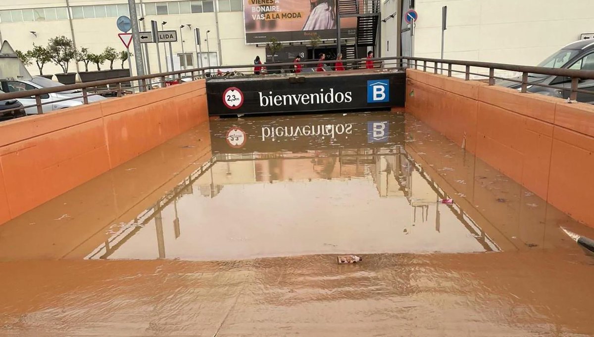 ¿Piensas que deberían cerrar las cuentas que han propagado bulos sobre el parking de Bonaire?

🔄 SI
❤️ NO