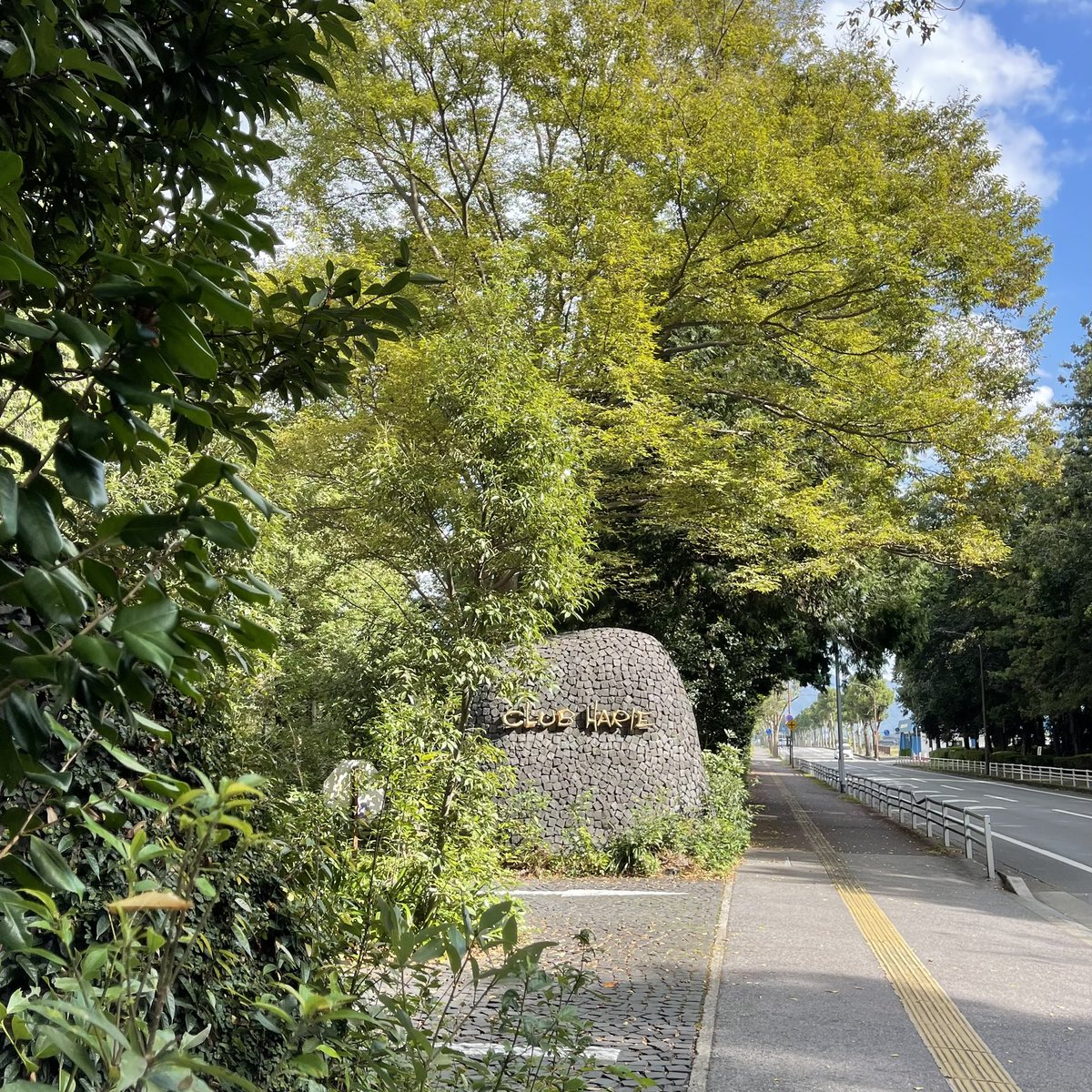 kokajirou's tweet image. 【モンブラン】
美味しかったで～(´ε｀ )

#こかじろうのSmileTrain
#FMひがしおうみ
#株式会社クラブハリエ
#八日市の杜カフェ