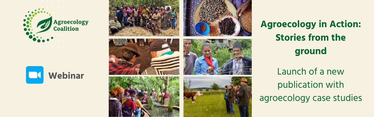 📣 Don't forget our upcoming webinar “Agroecology in Action: Stories from the ground” ❗
⏲️ 7 November, 2.00 - 3.00 PM CET
📝 Register: buff.ly/3YezLdp
🎙️ Interpretation in EN/FR/ES 

Check out the speakers and agenda here 👉 buff.ly/3WUOQRf