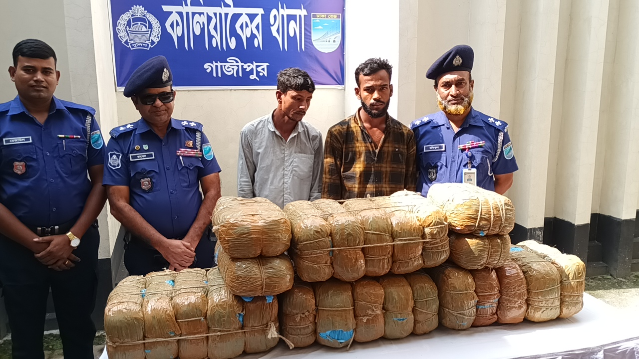 কালিয়াকৈরে বিপুল পরিমান গাঁজা উদ্ধারে পুলিশের সংবাদ সম্মেলন, আটক ২