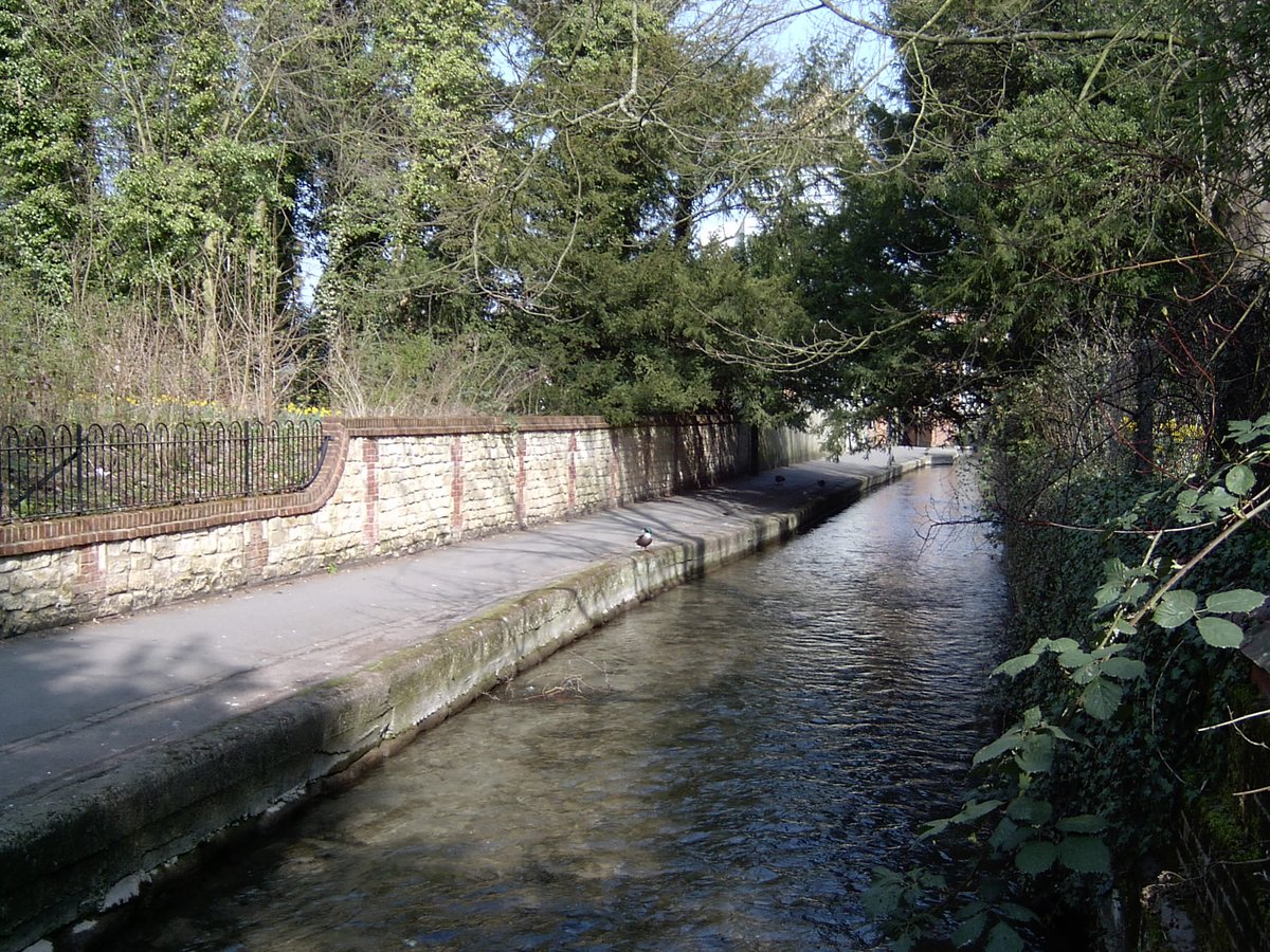 ValeAndDownland's tweet image. Day 4 of #Museum30 was #Habitat 
We are very lucky to have a rare chalk stream running through our town. The #LetcombeBrook runs from Letcombe Regis to East Hanney. The brook is a home to protected species such as white-clawed crayfish and water voles
