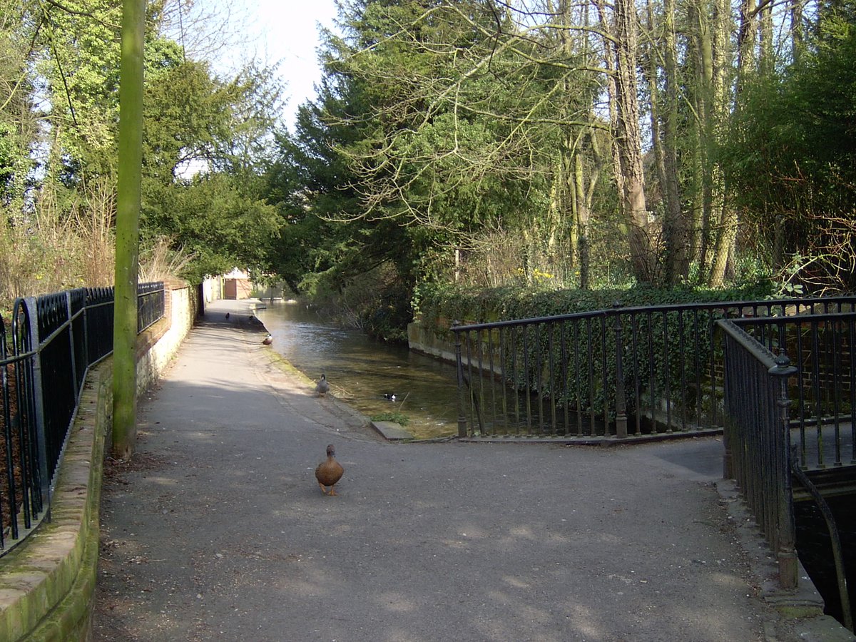ValeAndDownland's tweet image. Day 4 of #Museum30 was #Habitat 
We are very lucky to have a rare chalk stream running through our town. The #LetcombeBrook runs from Letcombe Regis to East Hanney. The brook is a home to protected species such as white-clawed crayfish and water voles