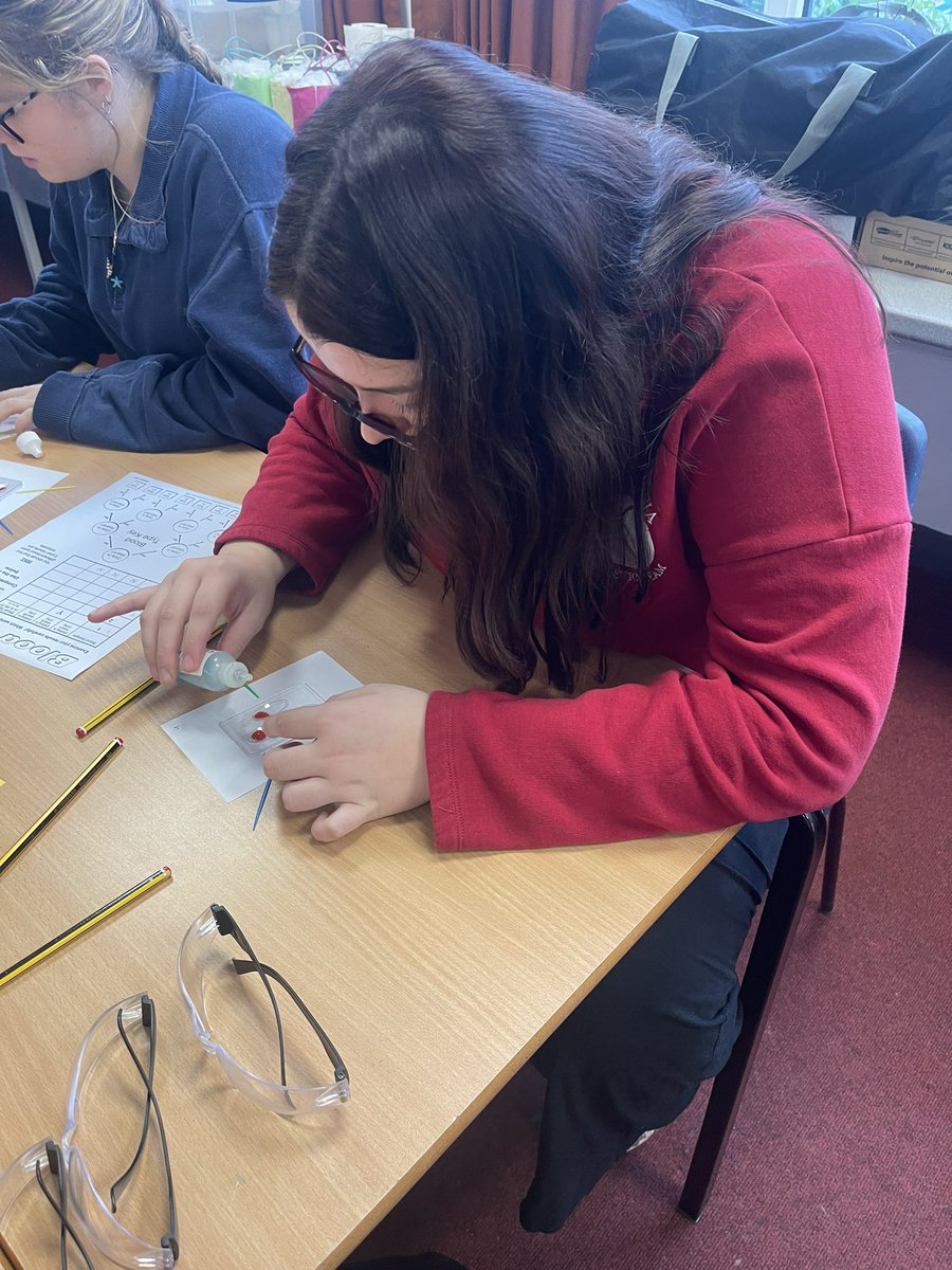 TythySocSci's tweet photo. Blood Analysis underway 🩸 @TythySixth https://t.co/6minbtGRKe