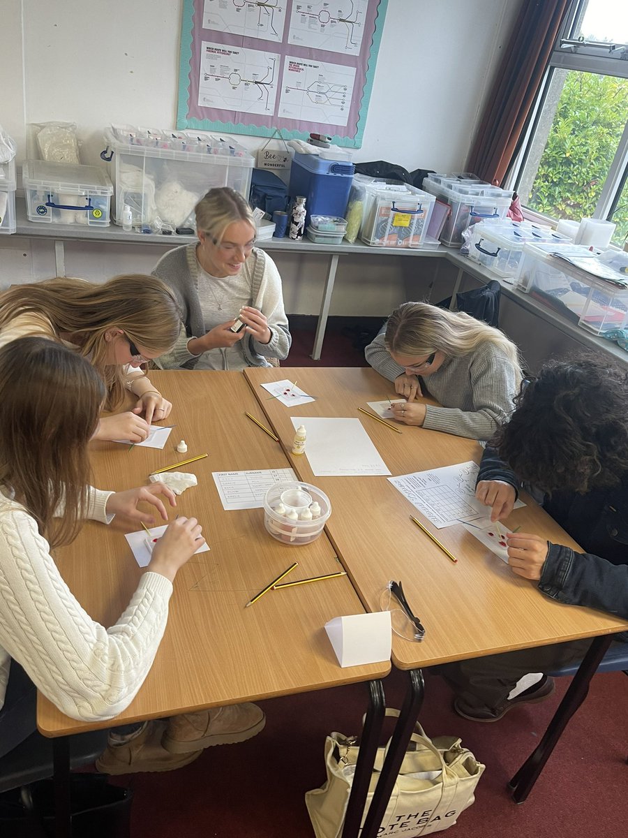TythySocSci's tweet photo. Blood Analysis underway 🩸 @TythySixth https://t.co/6minbtGRKe