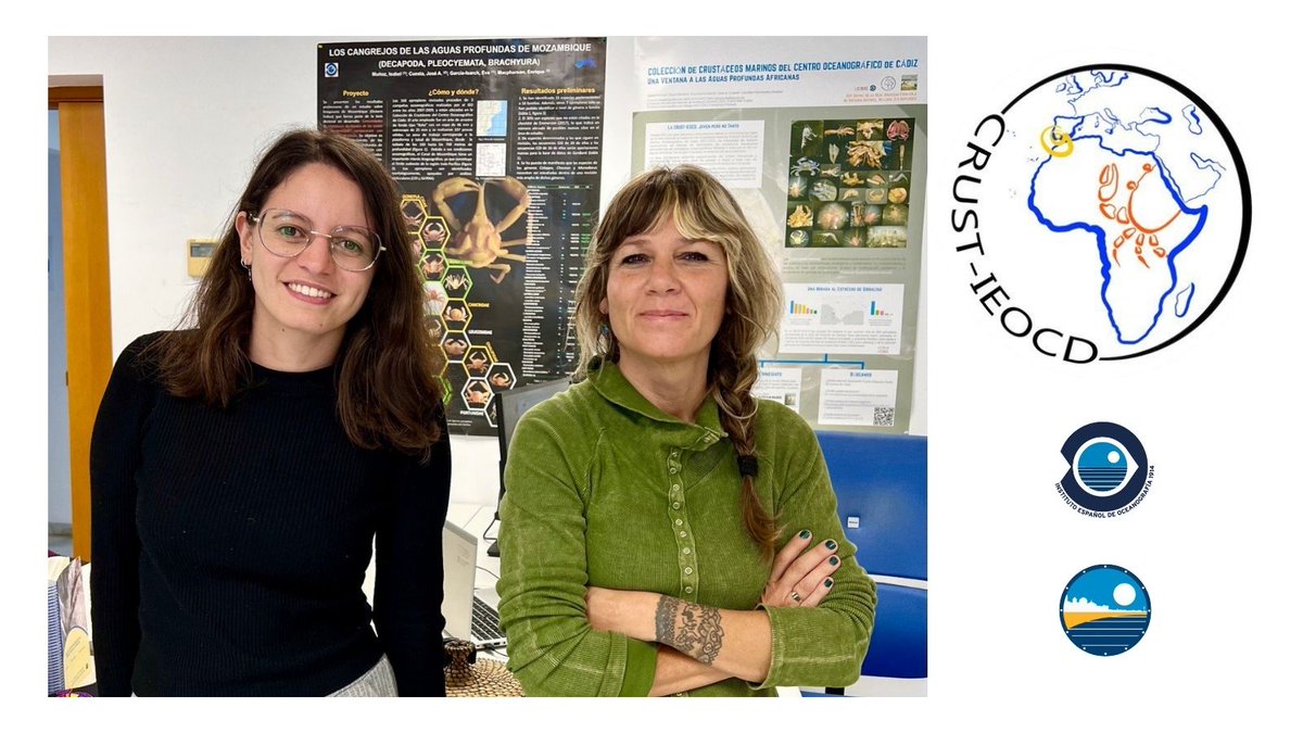 Estamos doblemente muy felices por la vuelta de <a href="/Mariasthecker/">Maria</a> , quien se incorpora en esta ocasión como Personal Técnico de Apoyo de Colecciones del <a href="/IEOoceanografia/">Instituto Español de Oceanografía (IEO-CSIC)</a> en la 🦀<a href="/CRUST_IEOCD/">Colección de Crustáceos Marinos (IEO Cádiz)</a> 🐚 y la reincorporación, tras varios meses de baja, de <a href="/Elisanluc/">Lupa Sinestris (Eli Muñoz)</a> 

🙂 BIENVENIDAS 🙂