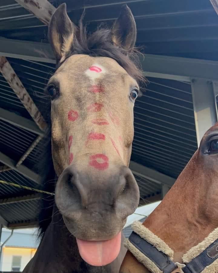 byunsouppp's tweet image. #submitted