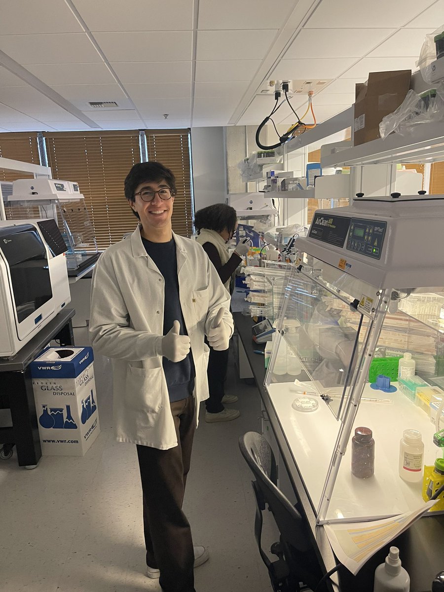 Normally our lab runs like a well oiled machine. Then something happens like a power outage. In these moments of chaos I think the #spatialtranscriptomics team shows that they can solve any problem with a little ingenuity and teamwork.